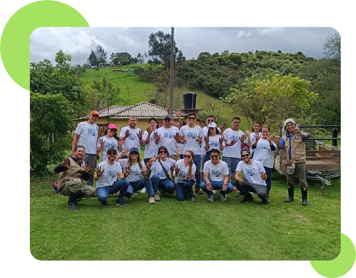 Acciones verdes